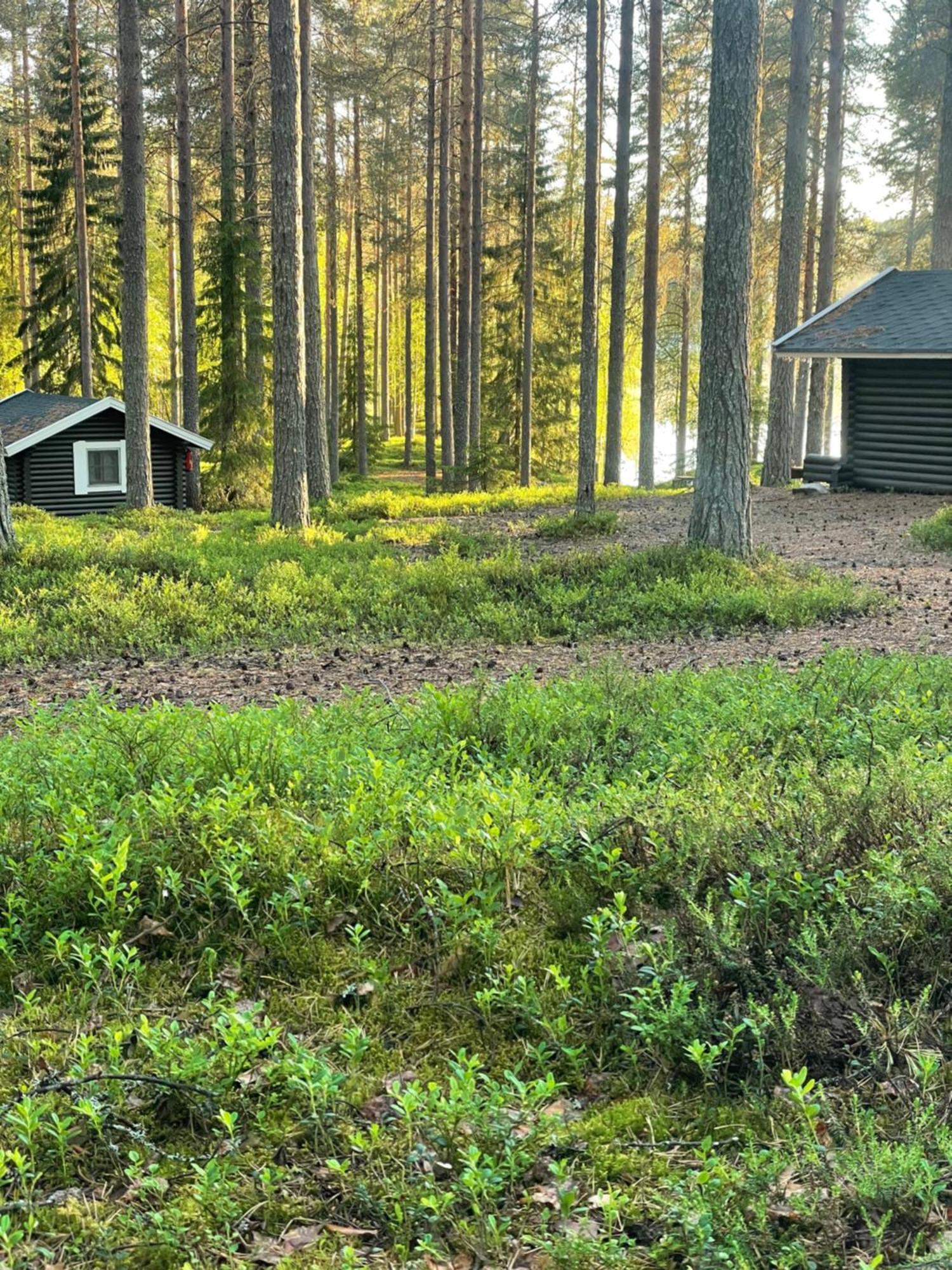 Laahtanen Camping Ristijärvi Exterior photo